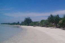 Berebut Pulau Pari...