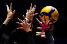 Satgas PKH Denda 71 Perusahaan Jadikan Hutan untuk Lahan Sawit-Tambang