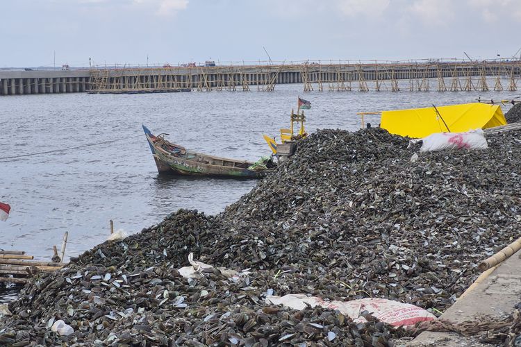 Pantai Cilincing dipenuhi limbah kulit kerang yang menggunung setinggi lima meter.