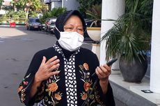 Soal Klaim Risma Surabaya Jadi Hijau, Kadis: Yang Berubah Bukan Zona, tapi Reproduksi Efektif