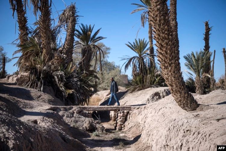 Seorang pria berjalan di atas saluran irigasi kering di oasis Maroko di Skoura, 27 Januari 2020.