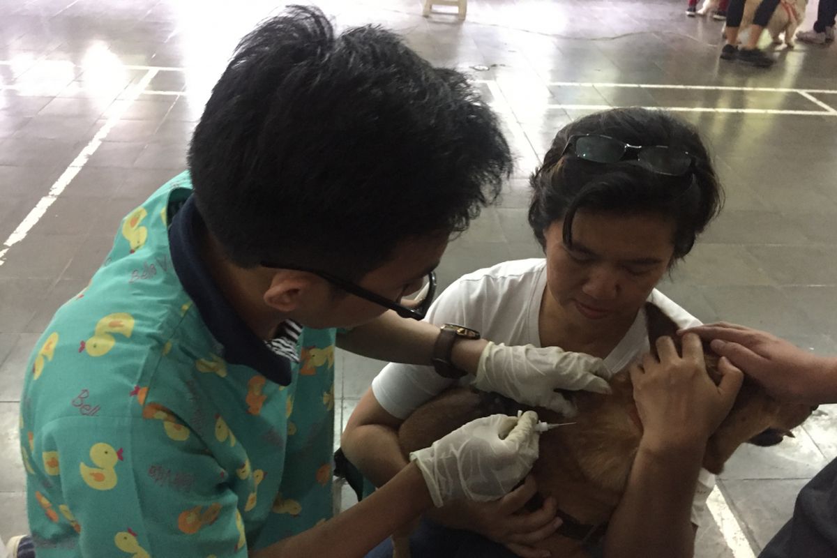 Pemberian vaksin anjing di Gereja Keluarga Kudus, Balai Pustaka, Rawamangun, Jakarta Timur, Sabtu (19/1/2019).