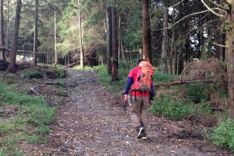 Pendaki gunung marathon solo Willem Sigar Tasiam (58) memulai pendakian Gunung Lawu via Cemoro Sewu, Sarangan, Jawa Timur, Jumat (13/5/2016) sore.