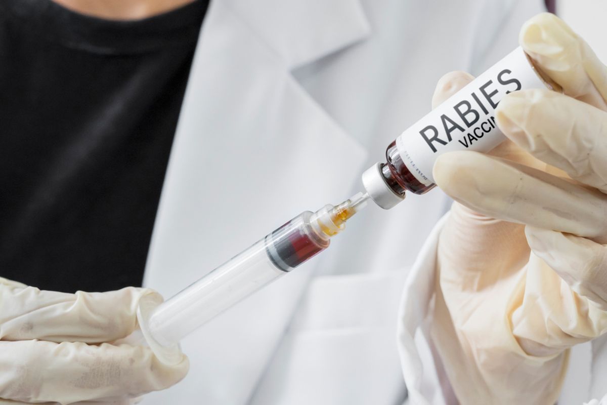 Ilustrasi penyakit rabies, apa itu rabies, penyebab rabies, gejala rabies pada manusia, pengobatan rabies, pencegahan rabies. 