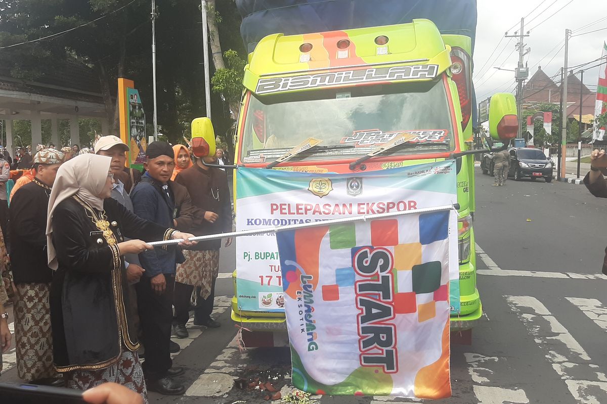 Pelepasan ekspor kapulaga di Alun-alun Lumajang, Jumat (15/12/2023)