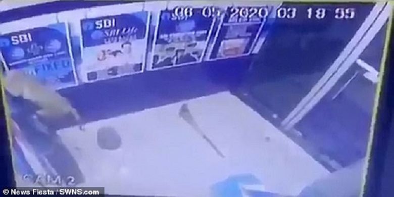 Rekaman CCTV di Bank Sentral India memperlihatkan seekor memanjat mesin ATM, dan kemudian membuka bagian depannya.