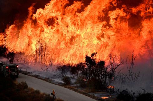 Kebakaran Hutan di California Terus Catatkan Rekor Tahun Ini