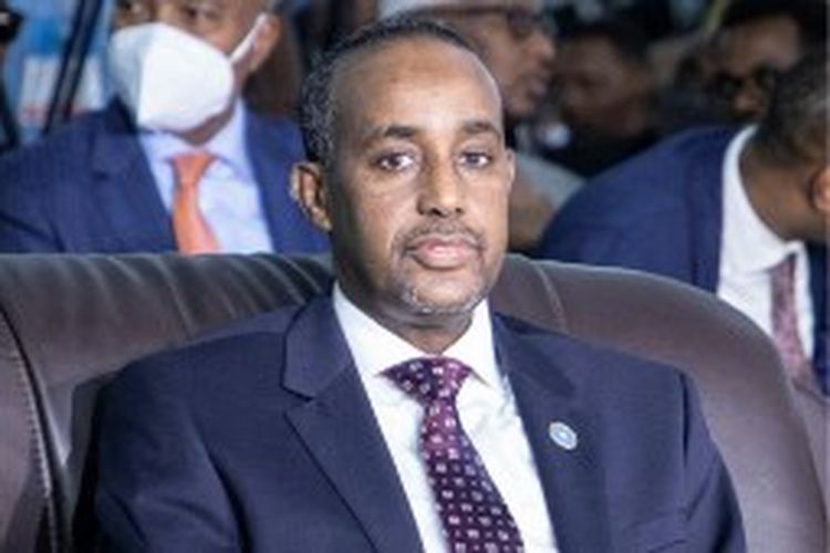 Presiden Somalia Mohamed Abdullahi Mohamed dan Perdana Menteri Somalia Mohamed Hussein Roble