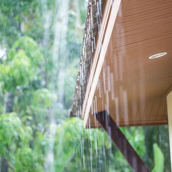 Cara Ampuh Mengusir Bau Apek dari Rumah Saat Musim Hujan