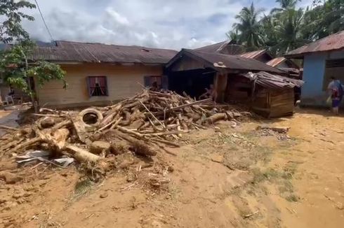Walhi: Banjir Aceh Tenggara Disebabkan Kerusakan Hutan yang Masif