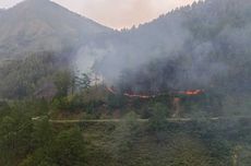 100 Hektar Hutan Lindung di Samosir Terbakar, Pemadaman Terkendala Medan Terjal