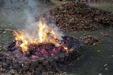 Emisi Karbon Pembakaran Sampah di Jabodetabek Setara Kebakaran 108.000 Hektar Hutan