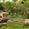 Taman Safari Indonesia Siap Dukung Transformasi Kebun Binatang Bandung