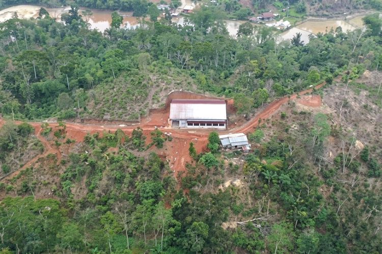 Viral Kopdes Merah Putih di Lampung Barat, Peratin Bantah Dibangun di Tengah Hutan