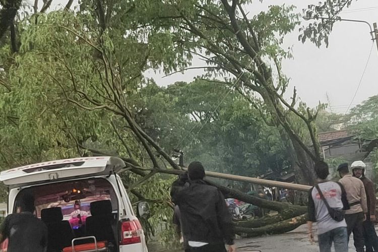 Jalan menuju Terminal Rawabango Cianjur, Jawa Barat tertutup pohon yang tumbang dan tiang listrik akibat hujan angin, Kamis (4/3/2021) petang.