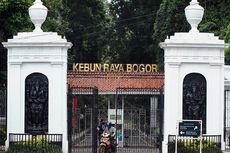 Daftar UMR Bogor 2023, Kota Bogor dan Kabupaten Bogor