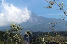 Dalam Dua Hari, Gunung Merapi Keluarkan Letusan Freatik 4 Kali