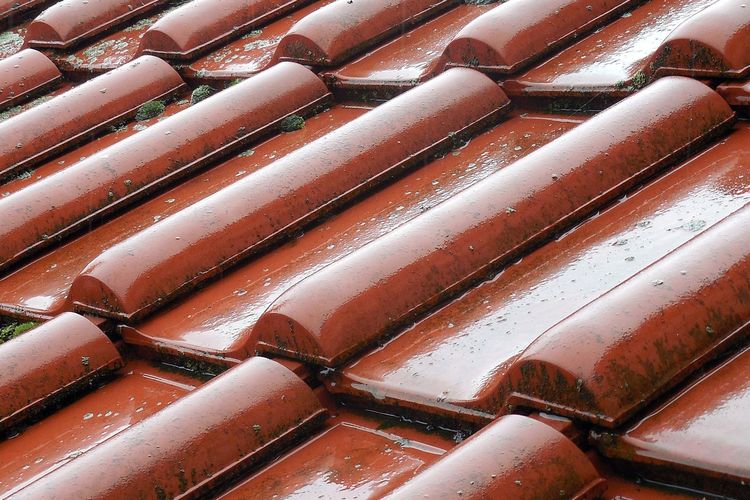 Ilustrasi atap rumah saat hujan deras. 