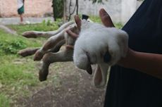 Polisi Tangkap Pria di Batam yang Rekam Anak Tiri Saat Mandi