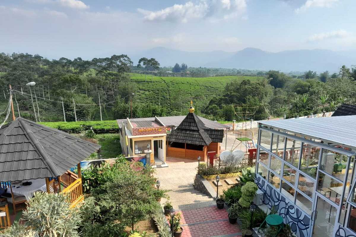 Hamparan kebun teh