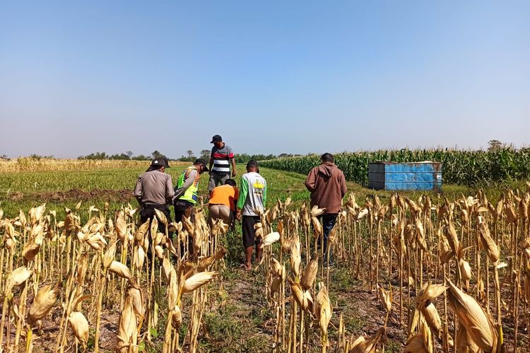 Polisi mendatangi lokasi sawah botol yang dimainkan dua bocah meledak.