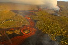 Gunung Berapi Meletus di Pulau Galapagos, Habitat bagi Iguana Merah Muda yang Terancam Punah