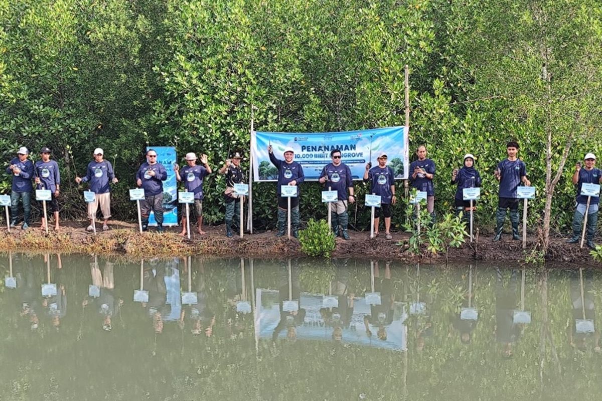 Telkom menyelenggarakan program konservasi lingkungan melalui penanaman 10.000 mangrove dan transplantasi 2.000 terumbu karang di Pantai Pandanan, Desa Malaka, Kecamatan Pemenang, Kabupaten Lombok Utara, Nusa Tenggara Barat, Kamis (23/4). 