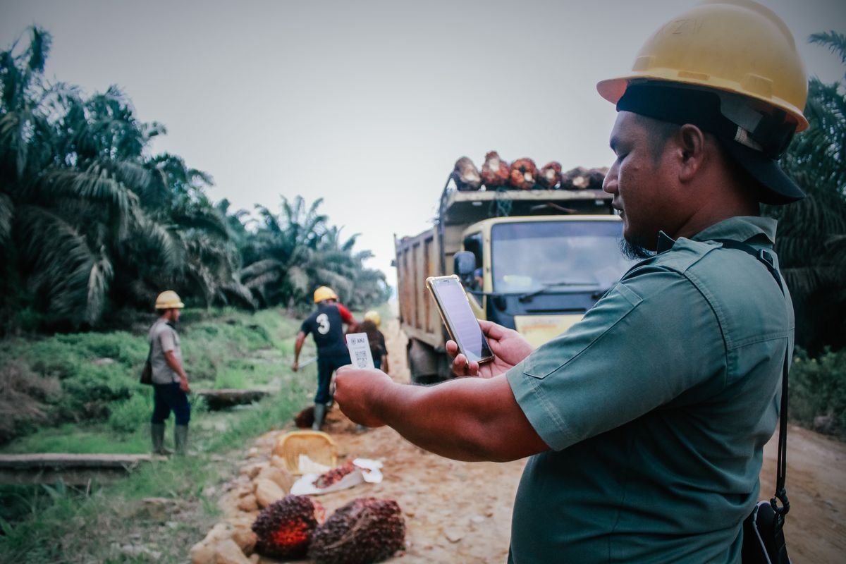 Salah satu pegawai ANJ tengah melakukan scan kartu NFC menggunakan aplikasi Electronic Plantation Mobile System (EPMS). 