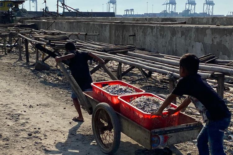 Anak-anak ikut mengangkut ikan asin yang sudah dikeringkan di Kampung Nelayan Cilincing. 
