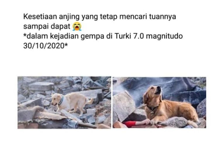 Status Facebook dengan narasi keliru anjing tengah mencari tuannya saat gempa di Turki, 30 Oktober 2020.