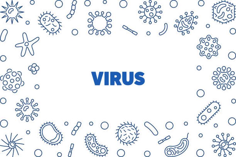 Ilustrasi pengertian dan ciri-ciri virus.