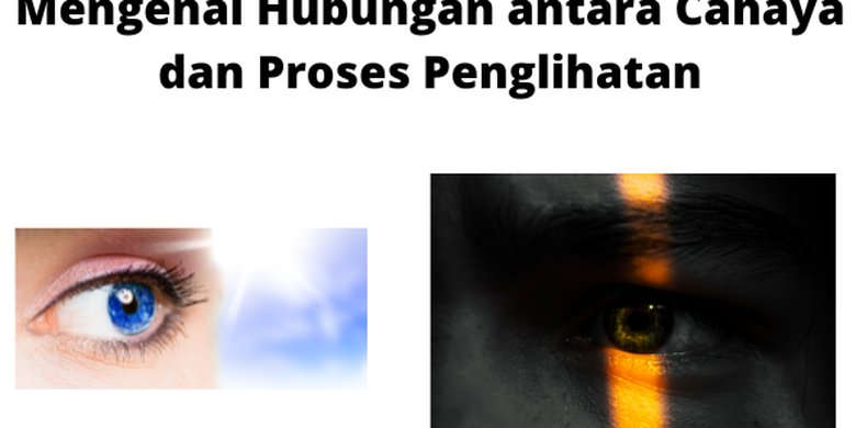 Mengenal Hubungan Antara Cahaya Dan Proses Penglihatan