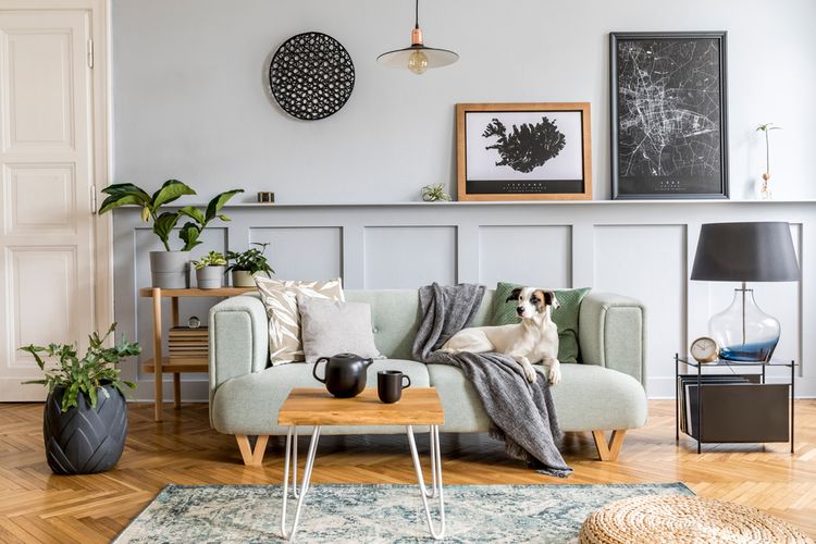 Tips dan Trik Memilih Warna Cat Dinding agar Rumah Lebih Cerah Halaman all  - Kompas.com