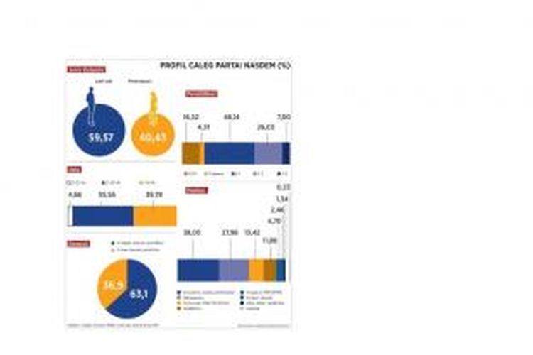 Profil caleg Partai Nasdem