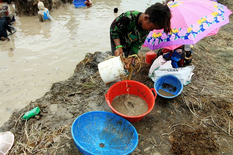 Seorang anak kecil membantu orangtuanya untuk mencari harta karun di kanal PT Samora Jaya Usaha, Desa Pelimbangan, Kecamatan Cengal, Kabupaten Ogan Komering Ilir (OKI), Sumatera Selatan.