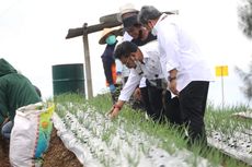 Mentan Pastikan Food Estate Temanggung-Wonosobo Dapat Anggaran KUR Khusus