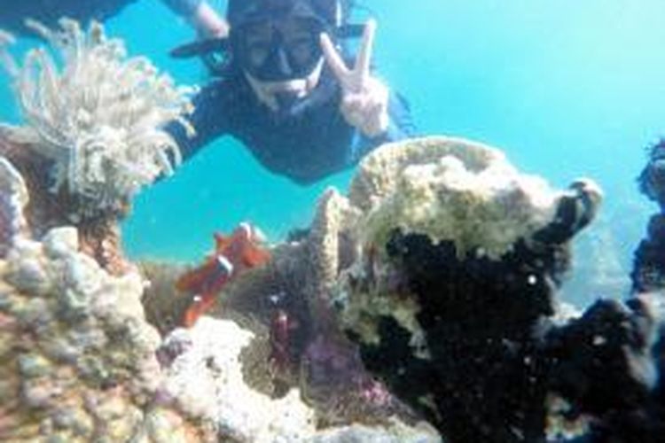 Wisata laut di Pulau Beras Basah, menyajikan warna-warni koral yang cantik untuk ditatap dengan snorkel.