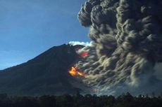 Sinabung Kembali Erupsi, Warga Desa Sibintun Diungsikan untuk Hindari Awan Panas