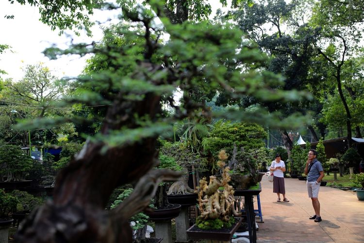 Pengunjung menikmati suasana yang ditampilkan dalam ajang Pameran Flora dan Fauna (Flona) 2017 dengan tema Jadikan Jakarta Sahabat Alam Kita di Lapangan Banteng, Jakarta Pusat, Sabtu (22/7/2017). Ajang yang terbuka dan gratis untuk umum ini berlangsung selama 1 bulan, serta bisa dimanfaatkan warga untuk semakin mencintai lingkungan. 