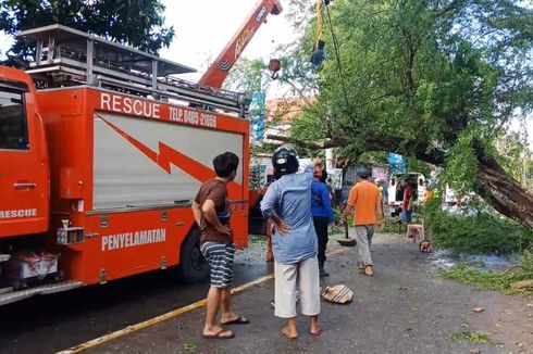 Kesaksian Petugas Damkar yang Selamat Saat Mobil Tabrak Pohon: Saat Kejadian Gelap Gulita