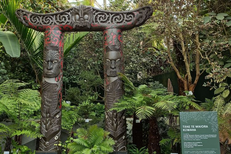 TĀNE TE WAIORA KŪWAHA sculpture, ukiran Suku Maori yang terpajang di Cloud Forest, Gardens by the Bay, Singapura sejak April 2022 lalu. Ini merupakan koleksi seni terbaru yang hadir di Cloud Forest.