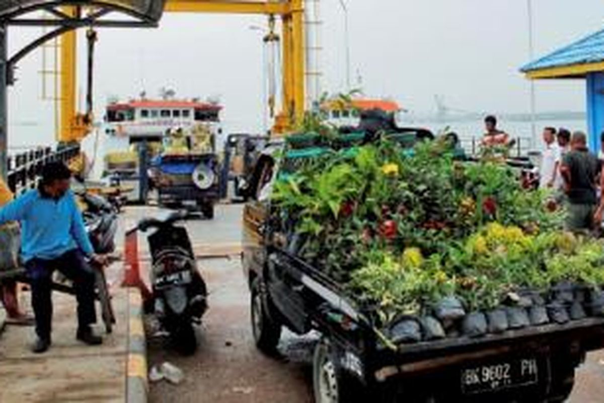 Antrean kendaraan yang akan masuk ke kapal roro (roll on roll off) Dumai-Pulau Rupat, dengan latar belakang pelabuhan Pelindo Dumai. Dumai merupakan pintu utama ekspor minyak kelapa sawit mentah (CPO) Sumatera