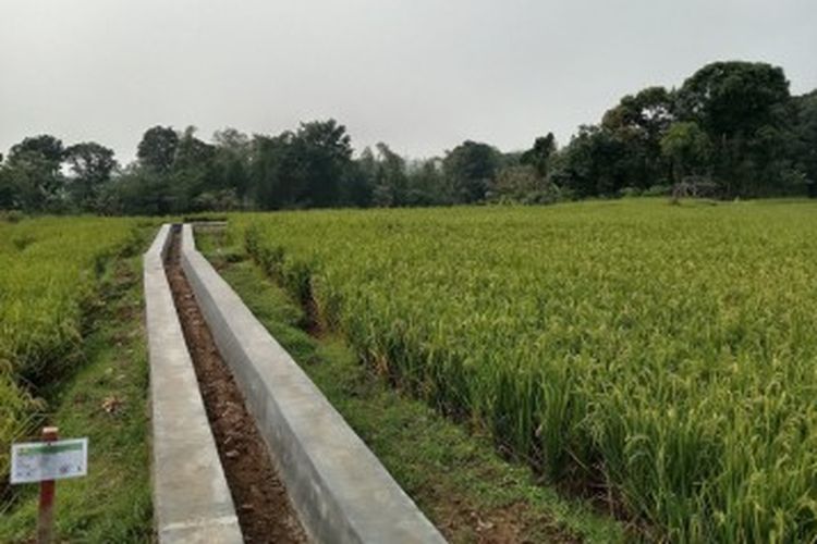 Proyek Jaringan Irigasi Bendungan Kuningan Libatkan 930 Pekerja Halaman All Kompas Com