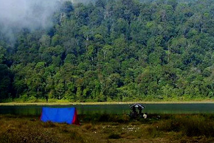 Ilustrasi Pegunungan Argopuro.