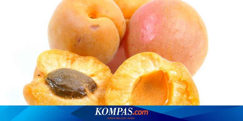 Makan Biji Aprikot Untuk Lawan Kanker Pria Ini Keracunan Sianida