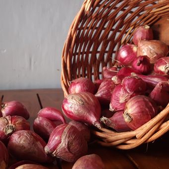 7 Manfaat Kulit Bawang Merah Untuk Tanaman Dan Cara Pengaplikasiannya Halaman All Kompas Com