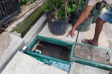 Reuni 212, Menantu Habib Rizieq Usulkan 2 Desember Hari Libur Nasional