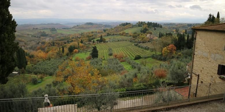 Hamparan perkebunan anggur dan pohon zaitun yang mengelilingi Kastil Vicchiomaggio, Greve in Chianti, Tuscany, Italia.