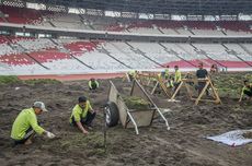 [POPULER PROPERTI] Tanggapan Pengelola soal Rumput GBK yang Jadi Sorotan