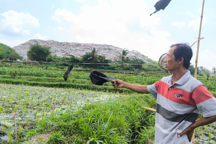 Puluhan Petani di Jember Gagal Panen, Diduga Irigasi Sawah Tercemar TPA Pakusari